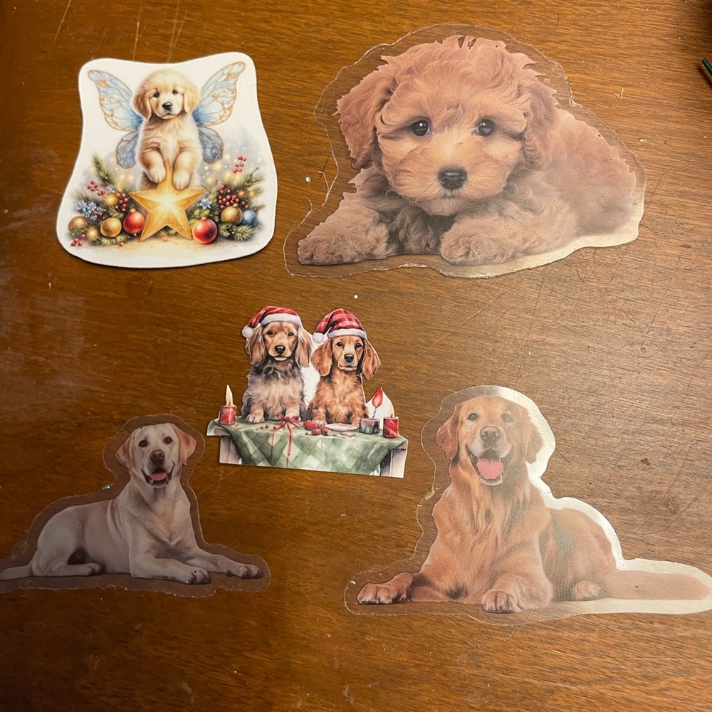 Example Dog images - Picture 2 of 2